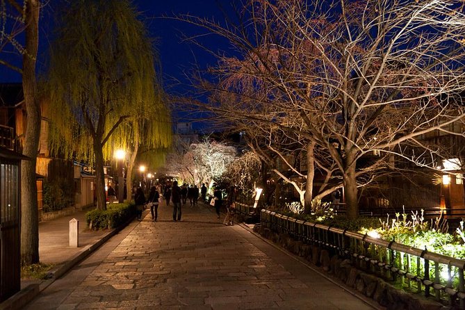 1 Day Private Kyoto Tour (Charter) - English Speaking Driver - Traveler Tips and Information