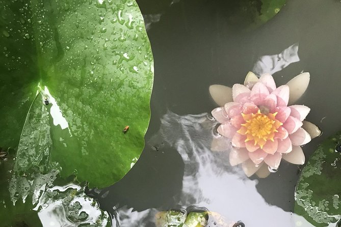 Kyoto Descending Arashiyama Private Kyoto: Descending Arashiyama (Private) - Indulging in Edo-period Charm at a Traditional Cafe