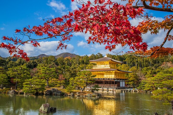 Kyoto and Nara 1 Day Bus Tour - Cancellation Policy