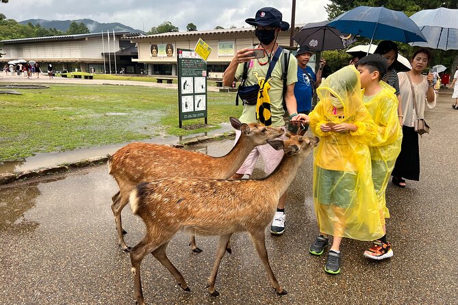 Kyoto and Nara 1 Day Bus Tour - Tour Information