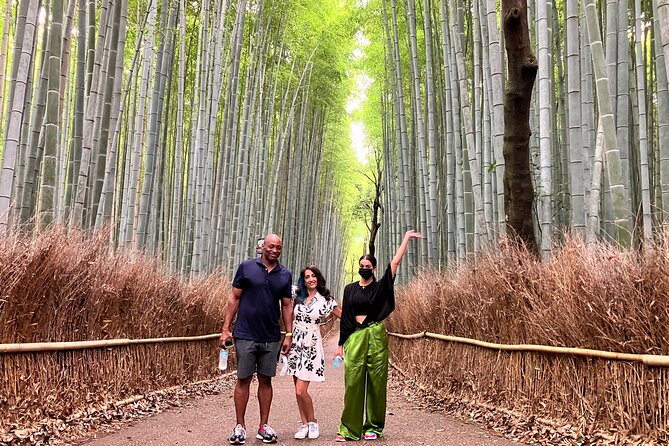 Kyoto 8hr Private Tour With Government-Licensed Guide - The Sum Up