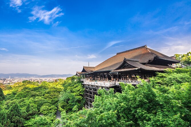 Kyoto Private 6 Hour Tour: English Speaking Driver Only, No Guide - Customer Testimonials for the Kyoto Private 6 Hour Tour
