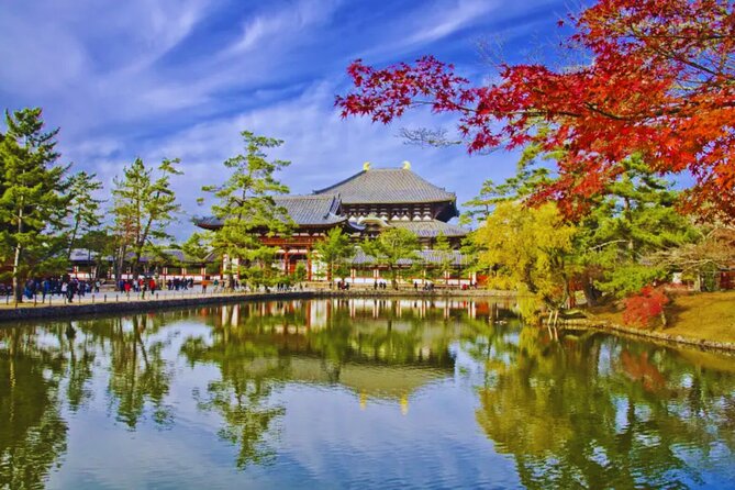 Nara, Todaiji Temple & Kuroshio Market Day BUS Tour From Osaka - Tour Details and Cancellation Policy