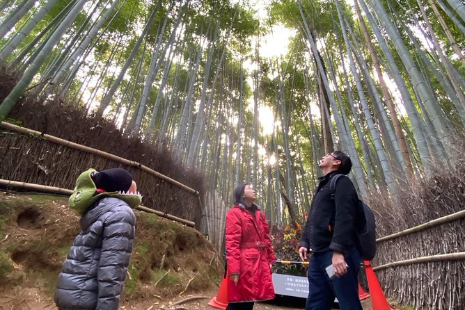 Must See KYOTO Custom Tour With Private Car and Driver - Special Offer and Terms & Conditions