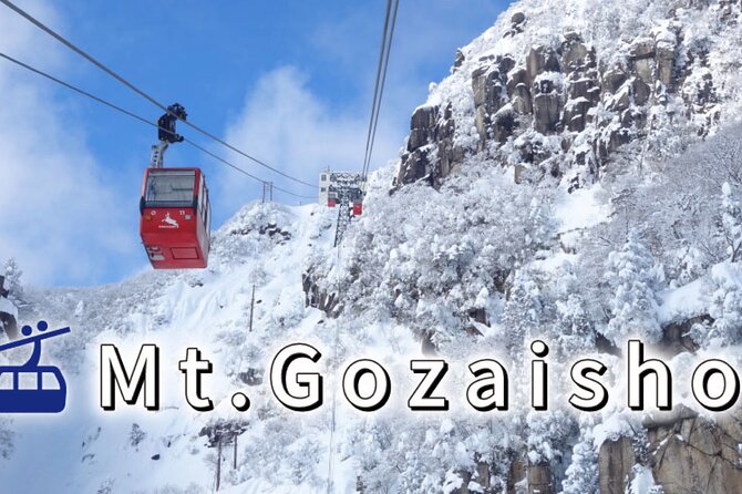 Private & Custom NABANA NO SATO Day Tour by HIACE (Max 9 Pax) - Pickup Details