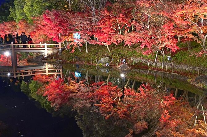 Private & Custom NABANA NO SATO Day Tour by HIACE (Max 9 Pax) - Pricing and Terms & Conditions