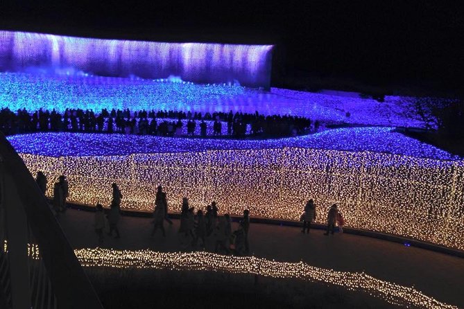 Private & Custom NABANA NO SATO Day Tour by HIACE (Max 9 Pax) - Viator Help Center