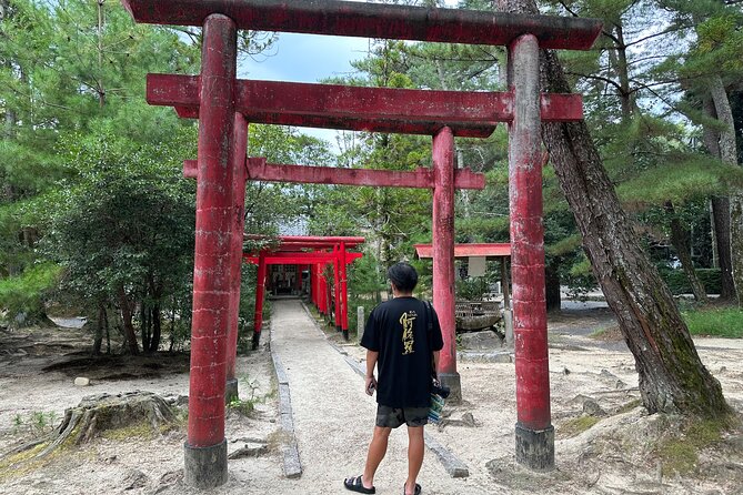 IGA the Birthplace of Ninja With Private Car & Driver (Max 9 Pax) - Tour Duration and Door-to-door Service