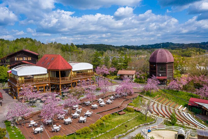 IGA the Birthplace of Ninja With Private Car & Driver (Max 9 Pax) - Additional Information and Contact Details