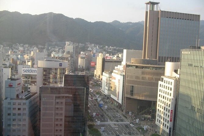 Full-Day Private Guided Tour to Kobe City - Frequently Asked Questions