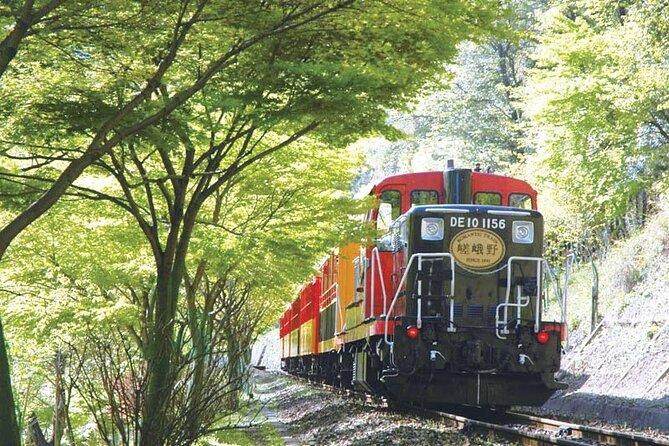 Sagano Romantic Train & Arashiyama, Kiyomizudera, Fushimi Inari Taisha Day Tour - Suggestions and Alternatives