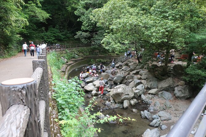 Minoh Waterfall And Nature Walk Through The Minoh Park Minoh Waterfall and Nature Walk Through the Minoh Park - Encounter Wild Monkeys in the Park