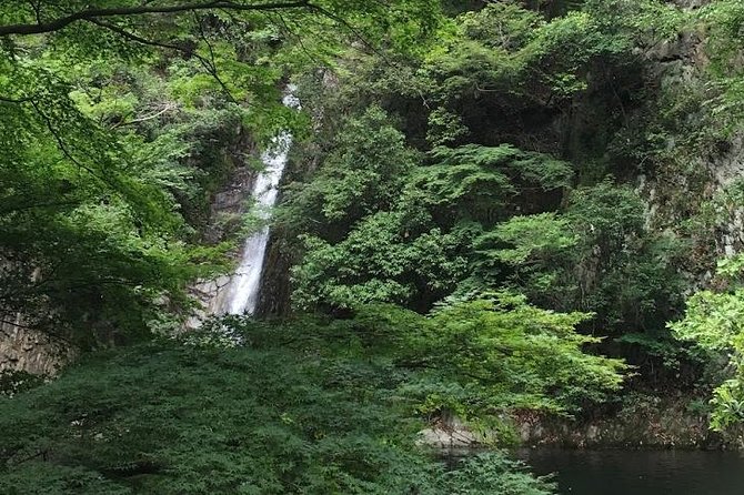 Kobe Private Tour From Osaka (Shore Excursion Available From Osaka or Kobe Port) - Traveler Photos