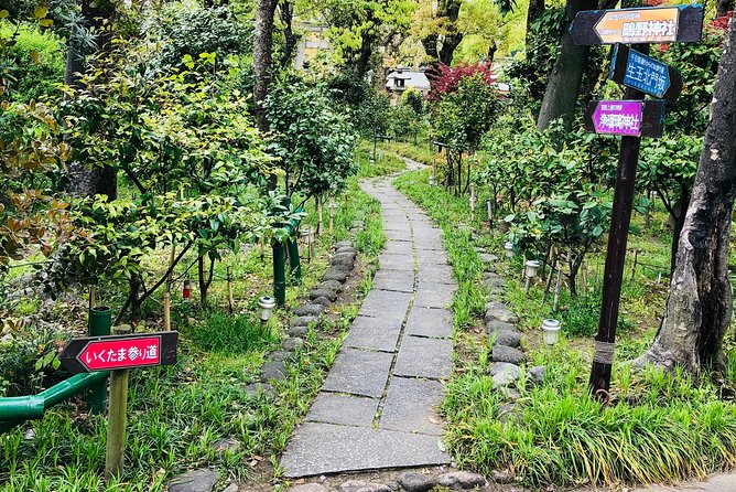 2 Hours Private Guided Walking Tour in Osaka - Cultural Experiences