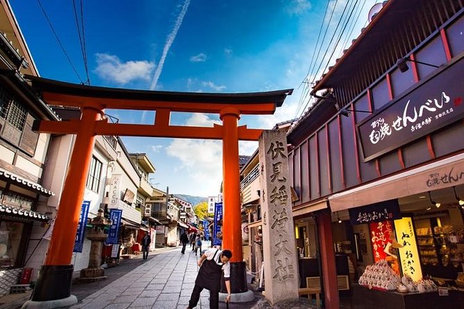Osaka Custom Full Day Tour - Customization Options and Themes