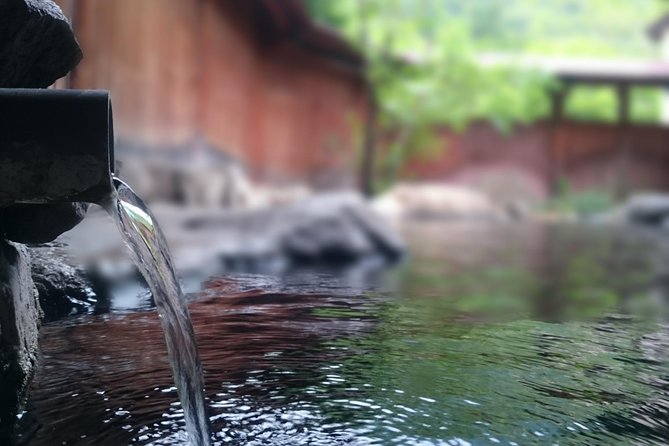 Private Car Day Trip to the Kobe Mountains, Gardens and Hot Springs From Osaka - Tour Highlights