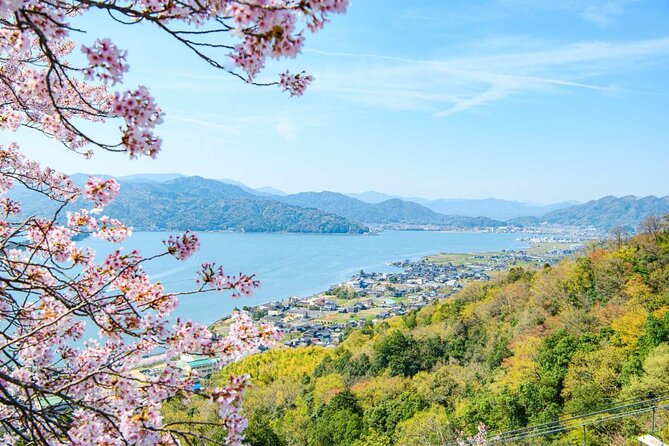 Full Day Kyoto Suburb Tour From Osaka - Important Information