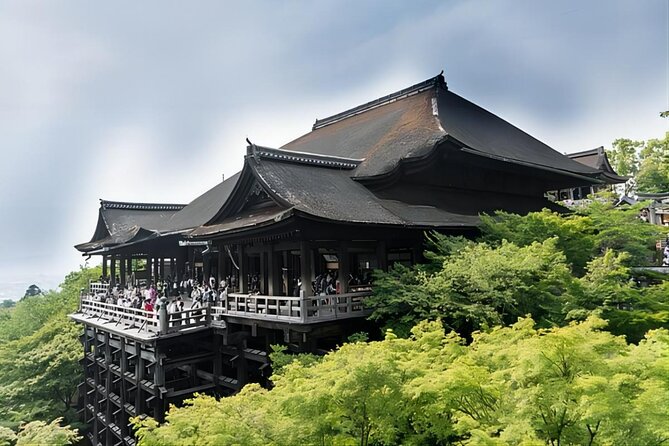 From Osaka: 10-hour Private Custom Tour to Kyoto - Additional Information