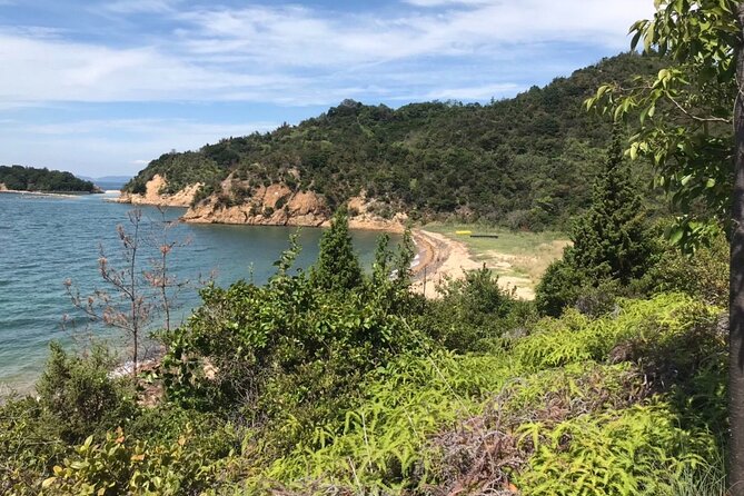 Private Full Day Tour in Naoshima Island for JR Pass Holder Only - Tour Details
