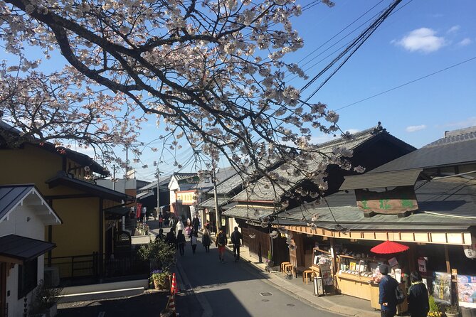 Cherry Blossom Buddha and Mt.Yoshino With Strawberry Picking Tour - Tour Start Time