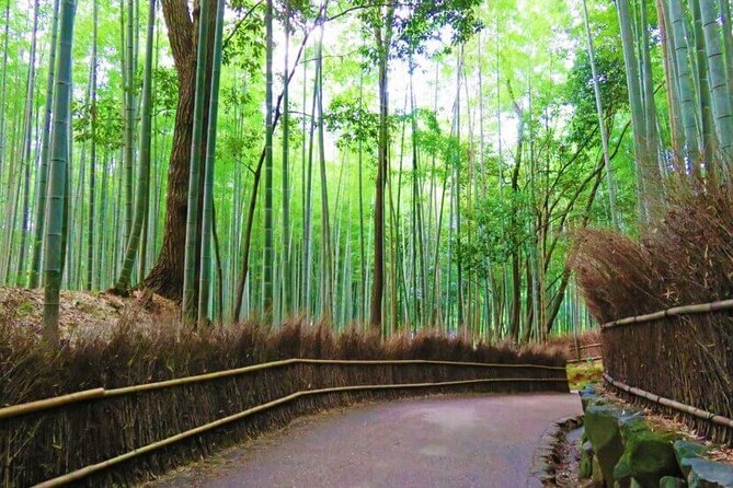 Osaka Departure Kyoto Top 3 Full Day Tour - Hidden Gems in Kyoto