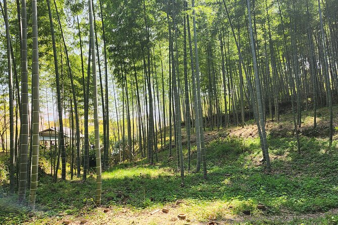 Osaka Department Store, Arashiyama Ninnaji, and Golden Pavilion Full Day Tour - Booking Information