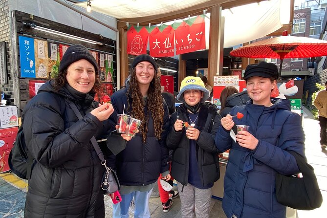 Private Tour to Nara From Osaka With English Speaking Driver - Tour Price and Terms and Conditions