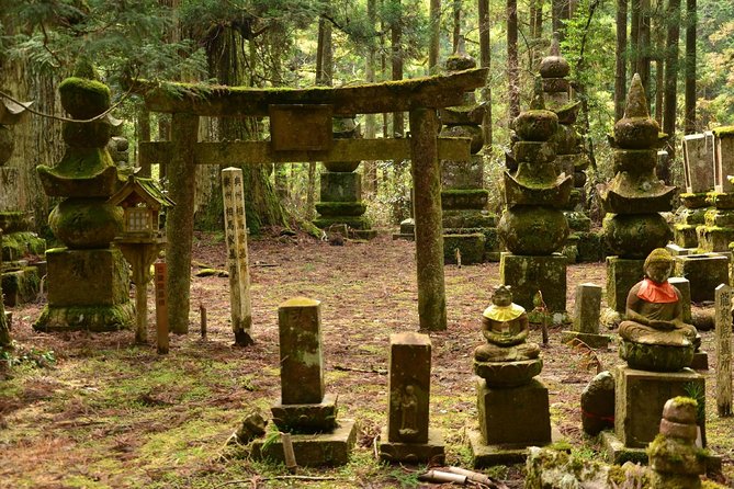 Mt. Koya Sacred Full-Day Private Tour (Osaka Departure) With Licensed Guide - Pricing and Inclusions for the Tour