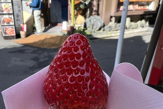 Tsukiji Fish Market Food Tour Best Local Experience In Tokyo. - Cancellation Policy