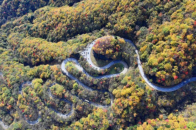 From Tokyo: Nikko Toshogu Shrine, Kegon Waterfall and Lake Chuzenji - Meeting and Pickup Details