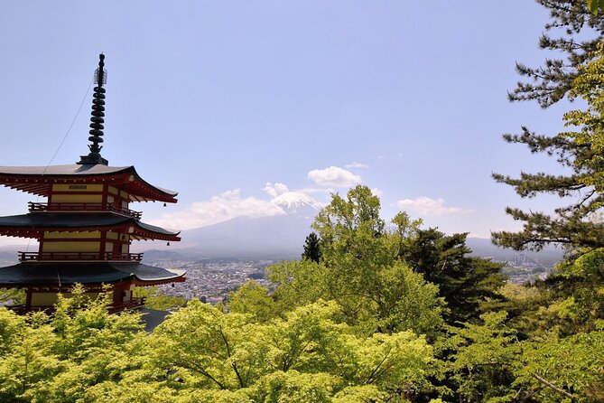 Mt Fuji Day Trip From Tokyo by Car With Photographer Guide - Convenient Pick-up Options