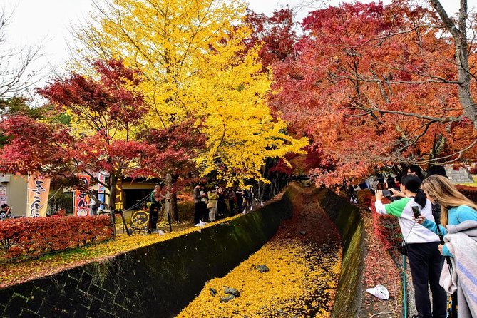 Mt Fuji Day Trip From Tokyo by Car With Photographer Guide - Contact and Questions