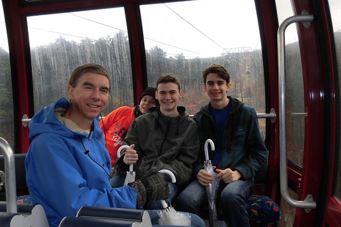 Hakone Full-Day Private Tour By Public Transportation - Price and Operator