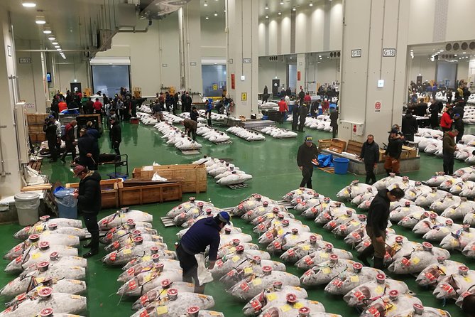 Tuna Auction and Tokyo Toyosu Fish Market Tour - Tour Details