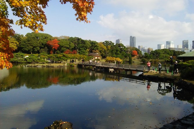 8-Hour Tokyo Tour by Qualified Tour Guide Using Public Transport - Cancellation Policy