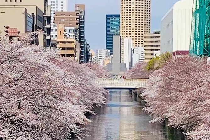 1 Day Private Charter Tokyo Sight Seeing Tour With Guide - The Sum Up