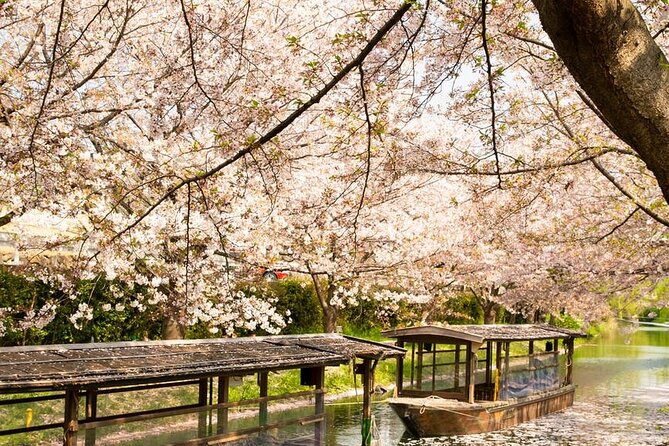 Private Full-Day Hakone and Mt. Fuji Tour With Bilingual Driver - Cancellation Policy