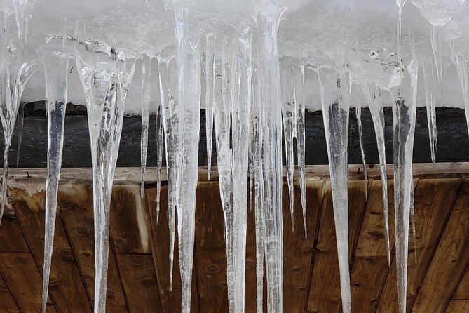 Charming Romantic VIP Tokyo Experience - Meeting and Pickup