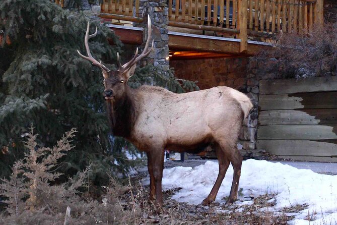 Charming Romantic VIP Tokyo Experience - The Sum Up