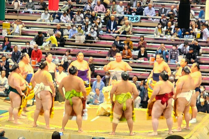 Sumo Wrestling Tournament Tokyo - Activity Details