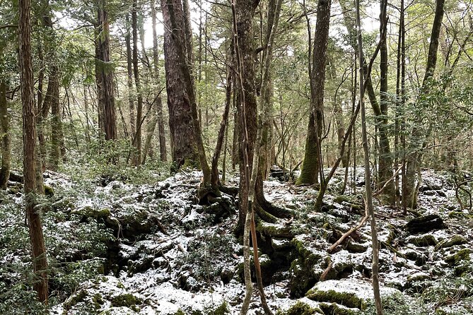 Private Kawaguchiko Tour With Mt Fuji View - Frequently Asked Questions