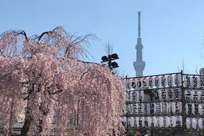 Tokyo Private Day Tour by Car With English Speaking Driver Guide - Customer Reviews and Testimonials