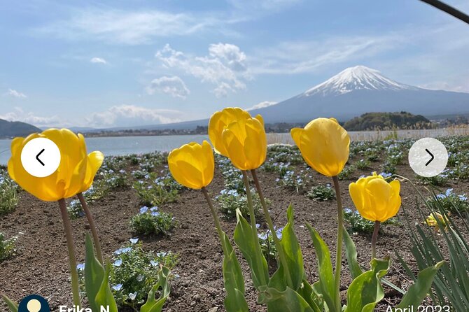 Private Full-Day Mt Fuji Hakone Tour English Driver Guide by Car - The Sum Up