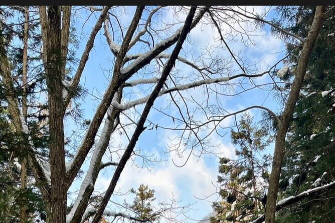 Nagano Full Day Tour Jigokudani Snow Monkey Park Zenkoji Temple - Zenkoji Temple Visit