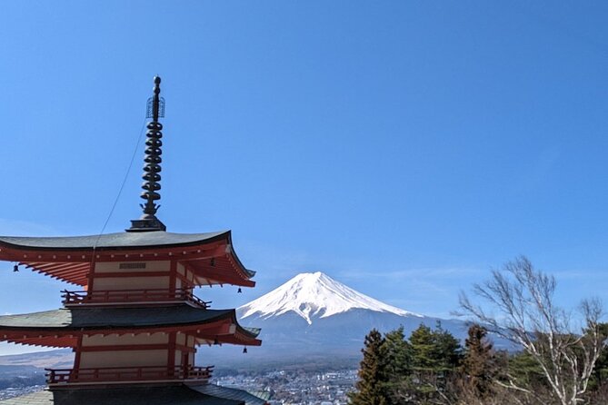 1 Day Tour Mt Fuji Lake Kawaguchiko English Speaking Driver Guide - Transportation and Logistics