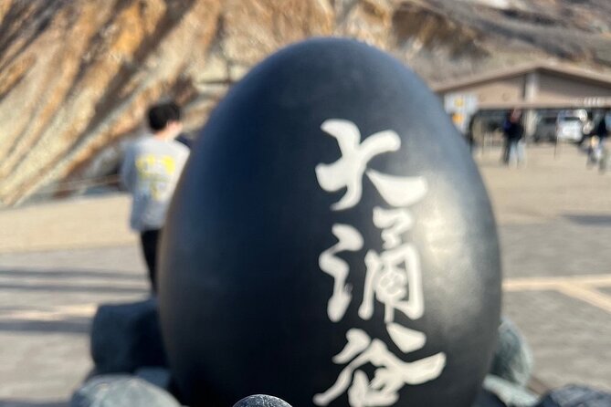 1 Day Tour Mt Fuji Lake Kawaguchiko English Speaking Driver Guide - Booking Information and Contact Details