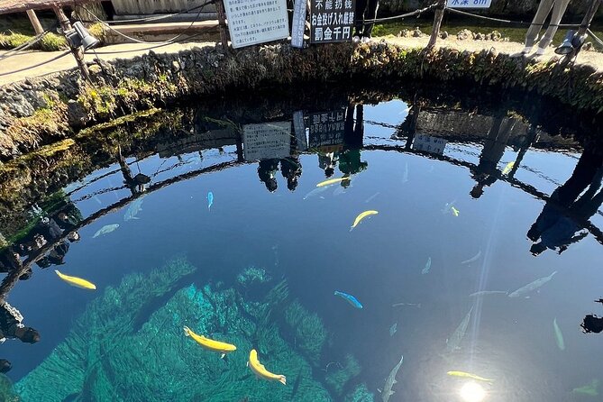 1 Day Tour Mt Fuji Lake Kawaguchiko English Speaking Driver Guide - Tips for a Memorable Experience