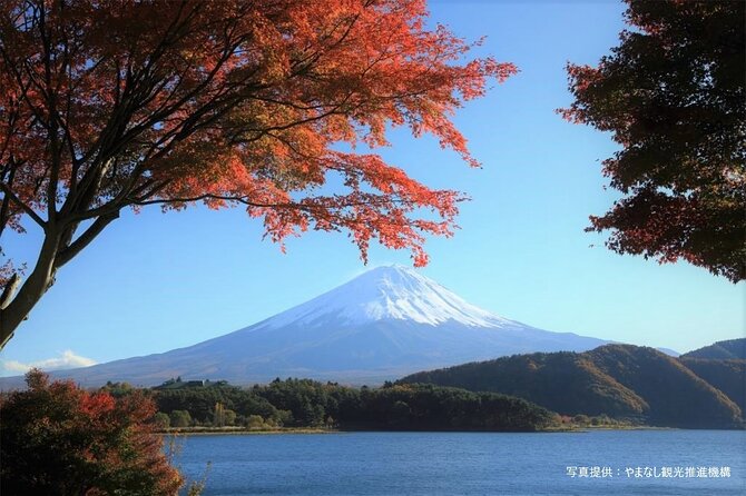 Mt.Fuji, Oishi Park & Arakurayama Sengen Park Bus Tour From Tokyo - Tour Price and Booking Details