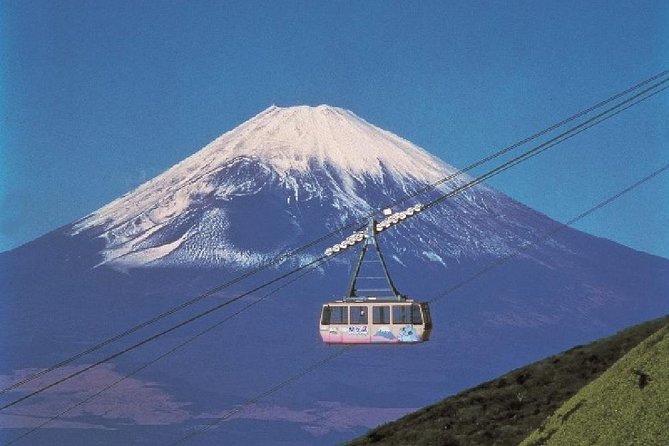 Mt Fuji, Hakone, Lake Ashi Cruise 1 Day Bus Trip From Tokyo - Feedback on the Optional Lunch Experience