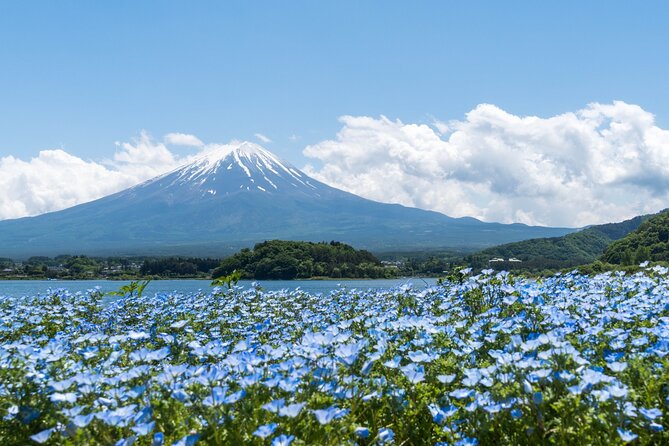Mt. Fuji Day Trip Bus Tour From Tokyo - Frequently Asked Questions